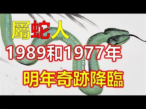 1989屬蛇幸運色|【1989 屬】1989屬蛇終極指南：壽命揭秘、最佳配對、轉運秘訣。